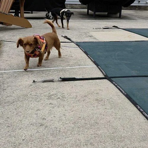 Eternity thumbnail 4