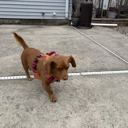 Eternity thumbnail 5