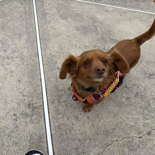 Eternity thumbnail 6