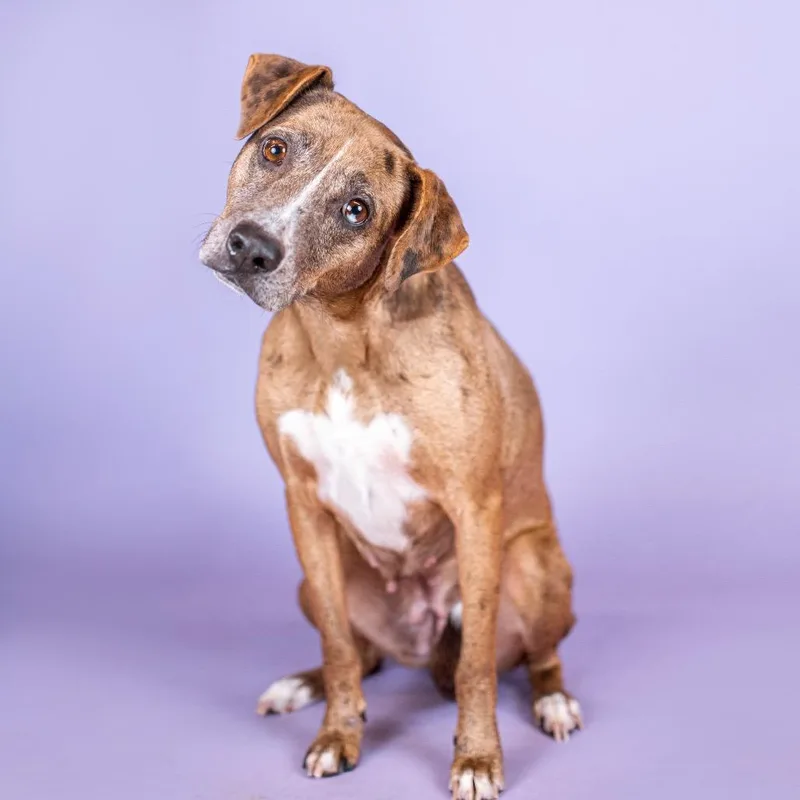 Peaches Hw + thumbnail 3