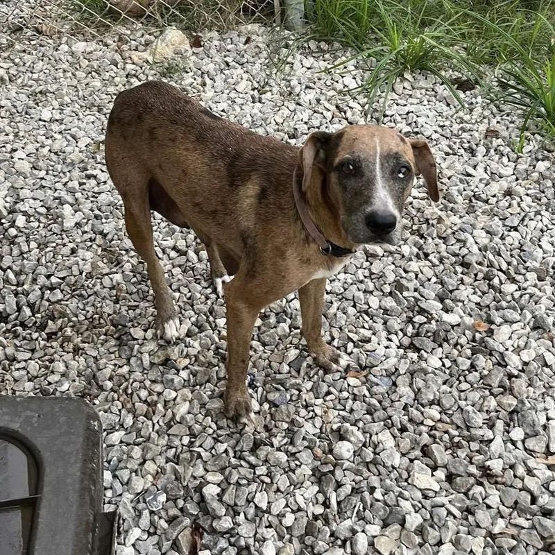 Peaches Hw + thumbnail 5