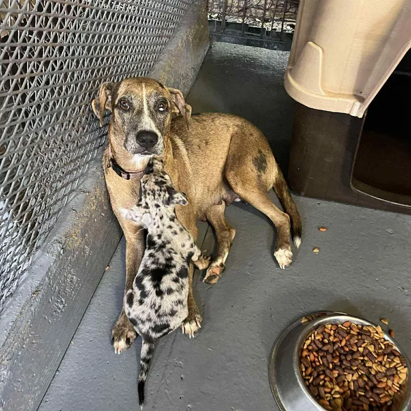 Peaches Hw + thumbnail 6