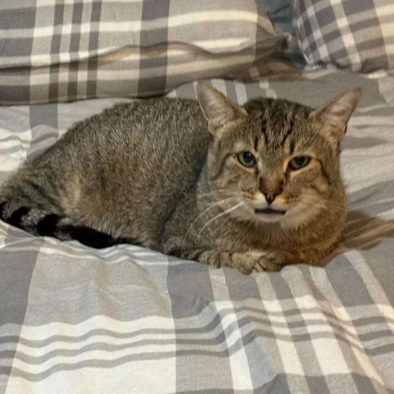 Kathmandu thumbnail 2