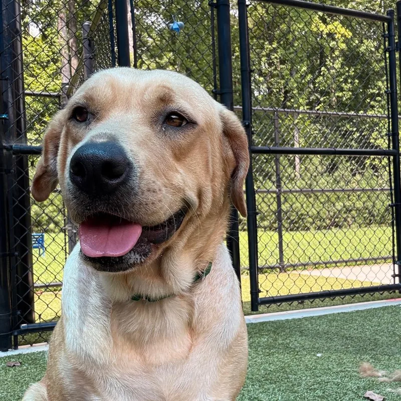 Marley