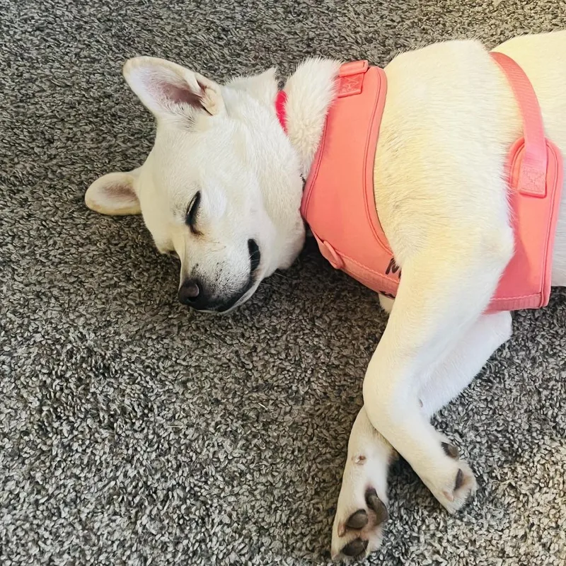 Glenda Mae thumbnail 2