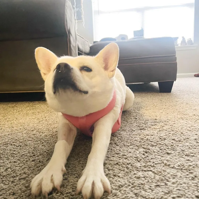 Glenda Mae thumbnail 3