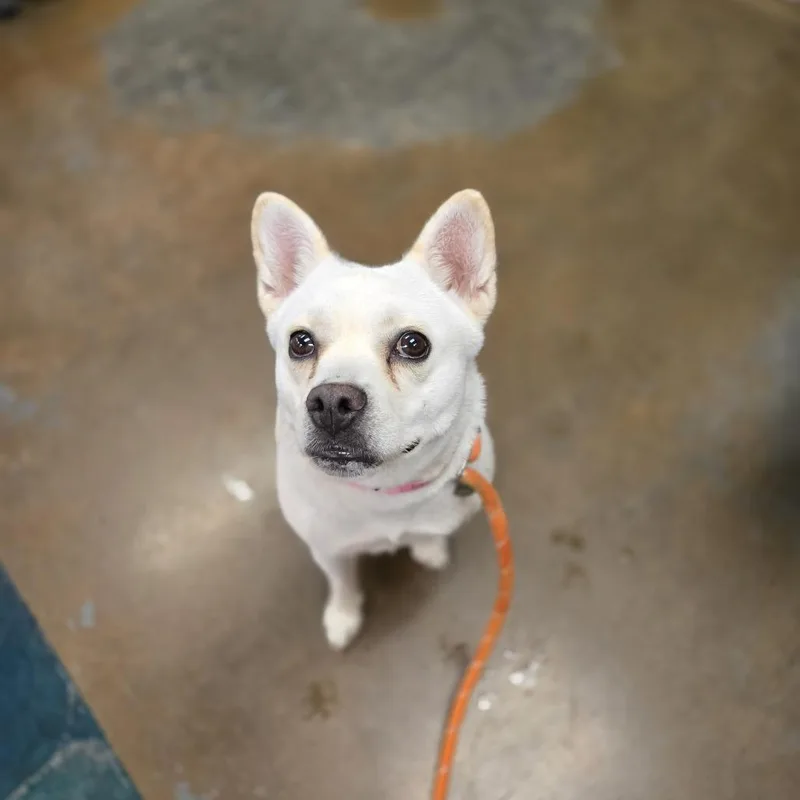 Glenda Mae thumbnail 4