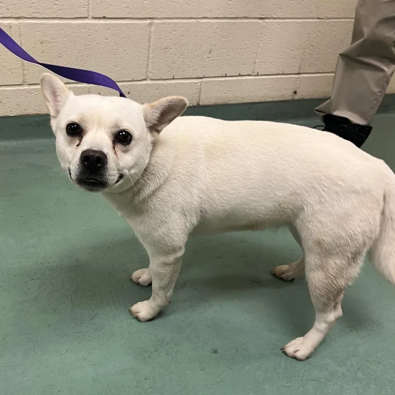 Glenda Mae thumbnail 5