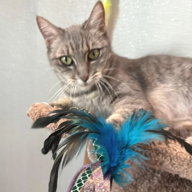 Annie thumbnail 5