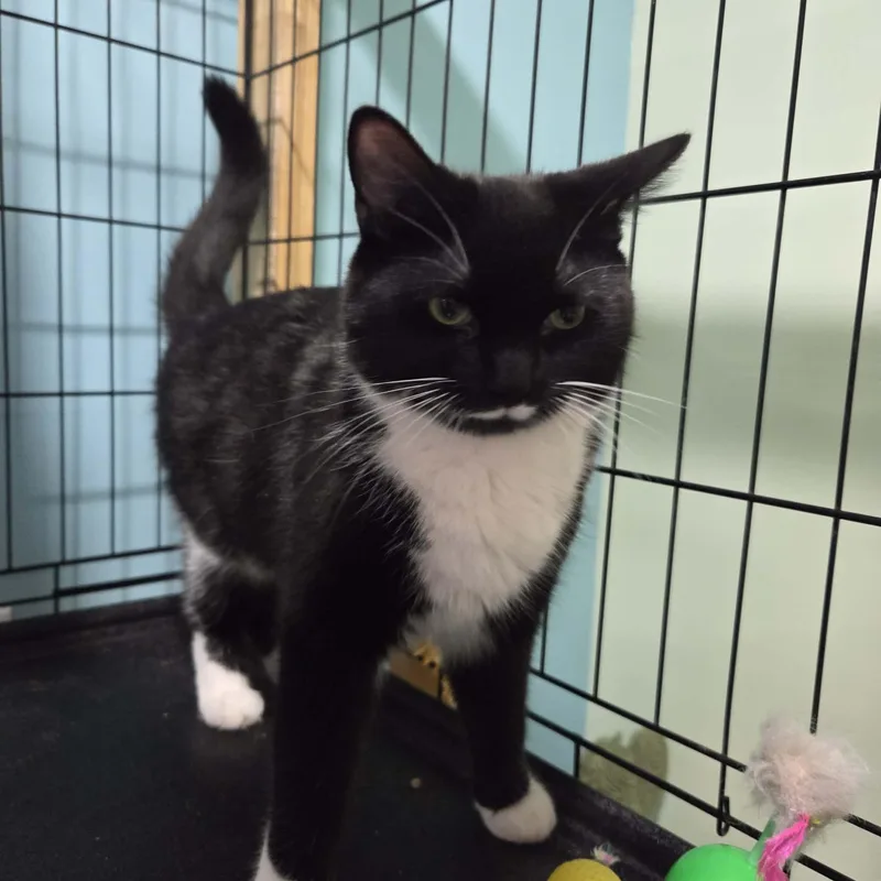 Jovanni & Jubilee Bonded thumbnail 2