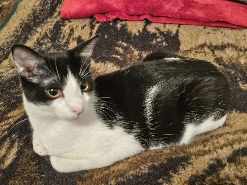 Elizabeth thumbnail 3