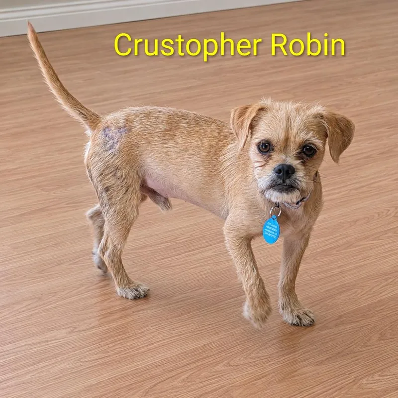 Crustopher Robin thumbnail 3