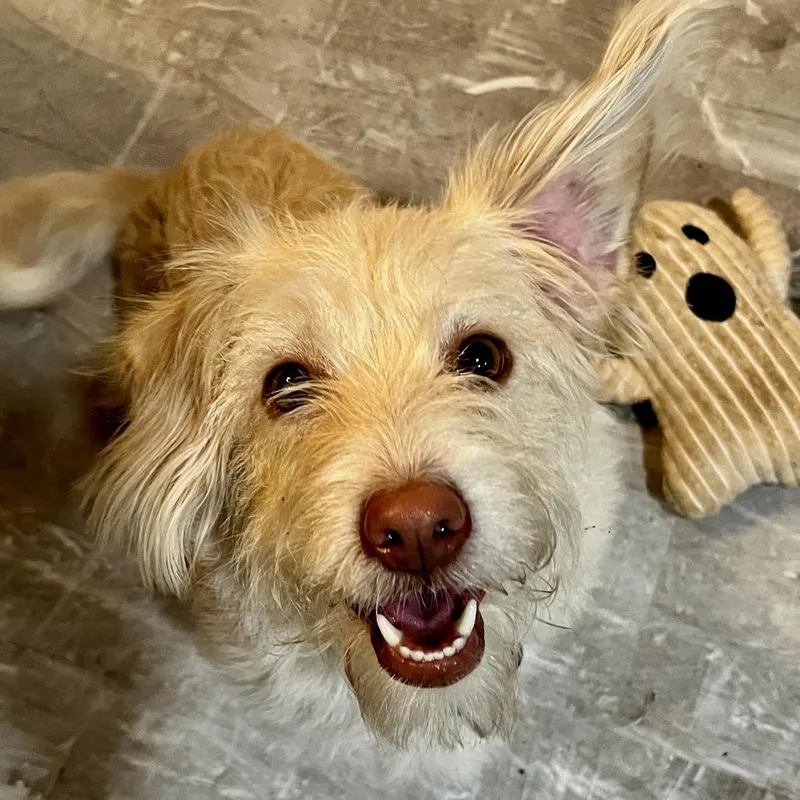 Rory Gilmore thumbnail 2