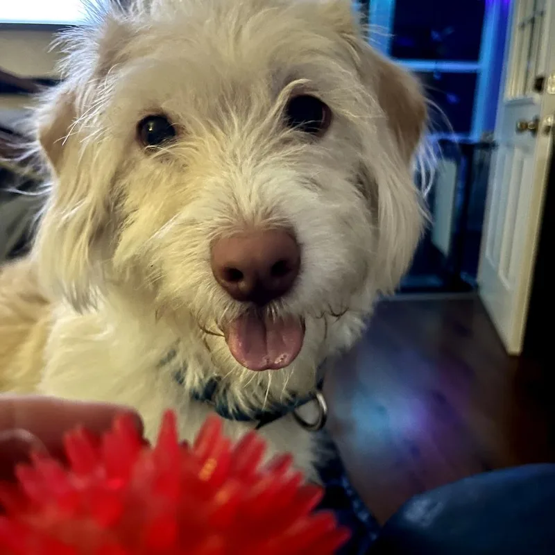 Rory Gilmore thumbnail 4