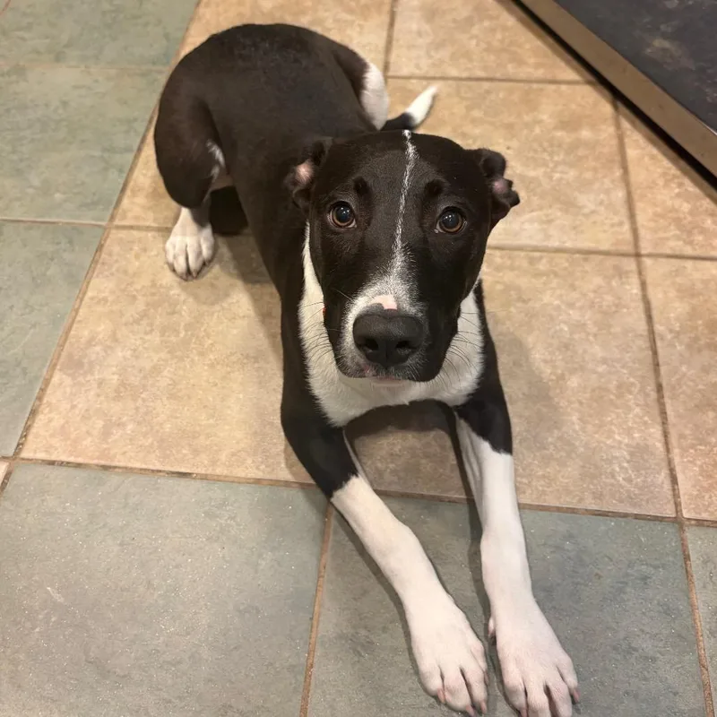 Smooches thumbnail 2