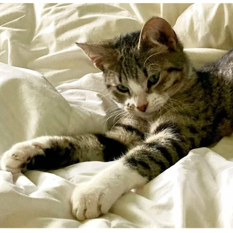 Tiggy Bella thumbnail 5