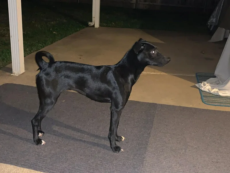 Luna In Texas thumbnail 3