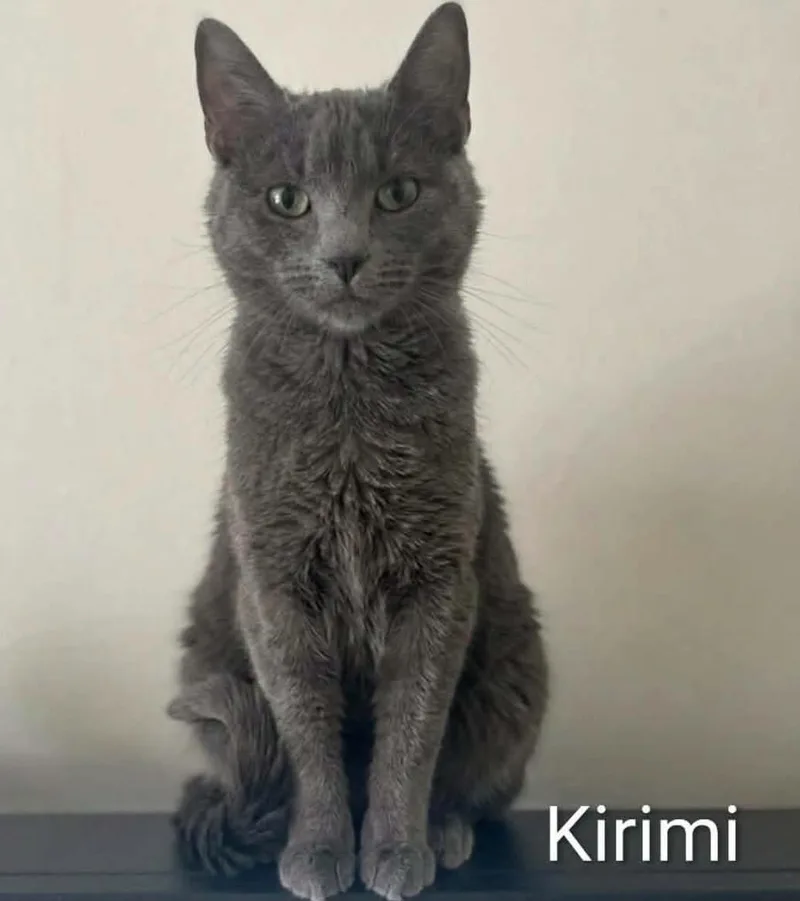 Kirimi