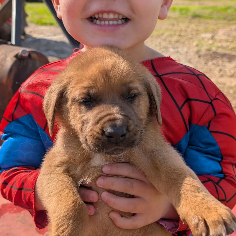 Zucchini “zukes” thumbnail 2