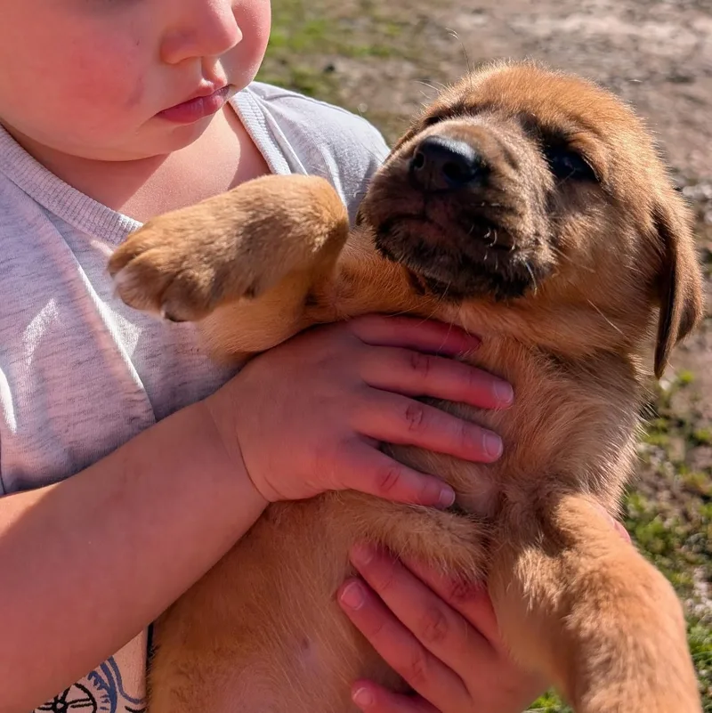 Zucchini “zukes” thumbnail 4