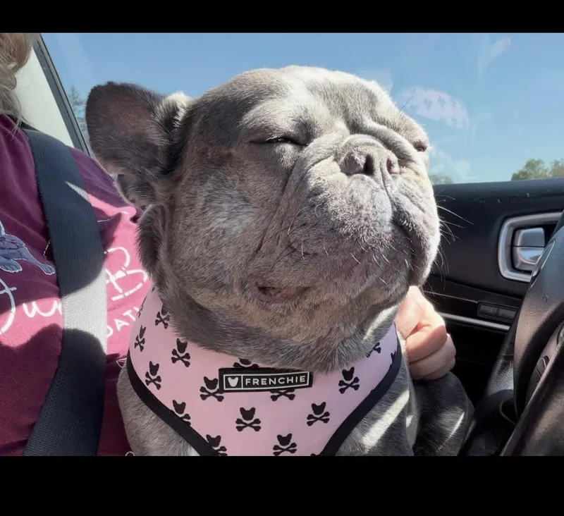 Valentina thumbnail 2