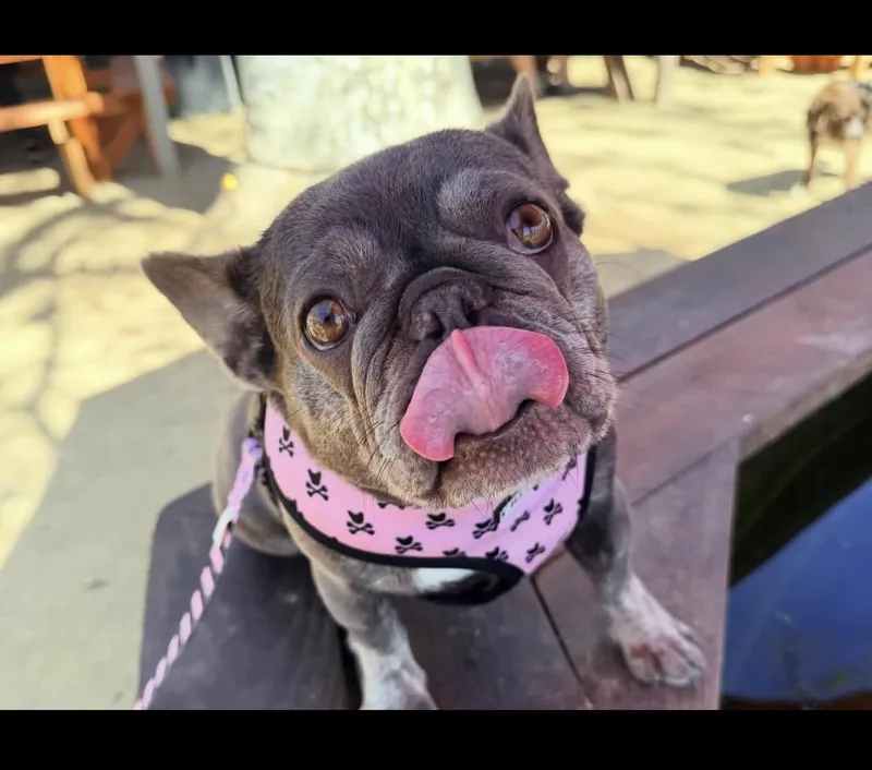 Valentina thumbnail 3