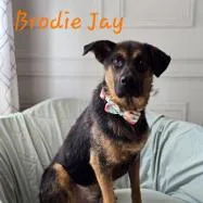 Brodie Jay thumbnail 2