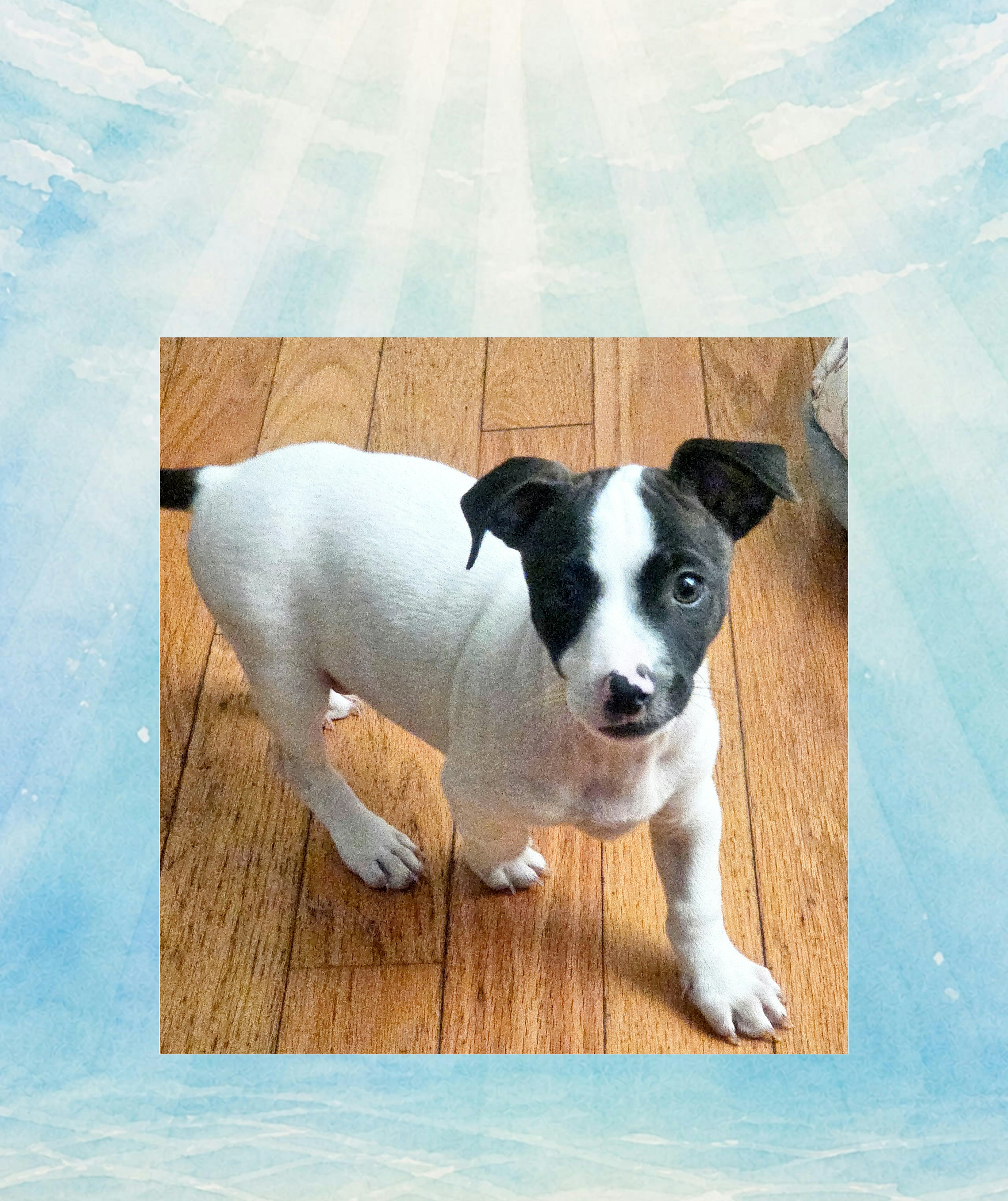 Pepper thumbnail 3