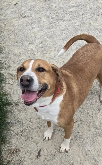 Sir Charles thumbnail 2