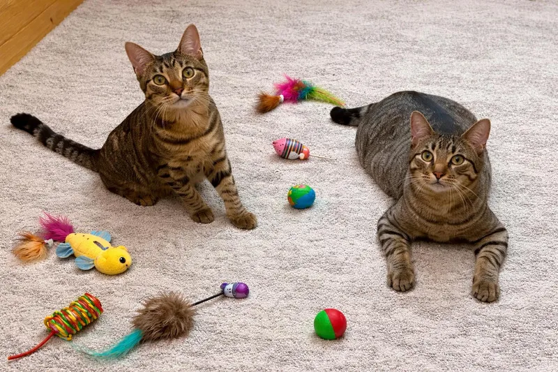 Peter And Marcia thumbnail 2