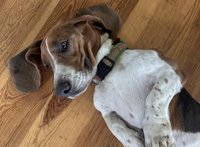 Inspector Gadget thumbnail 3