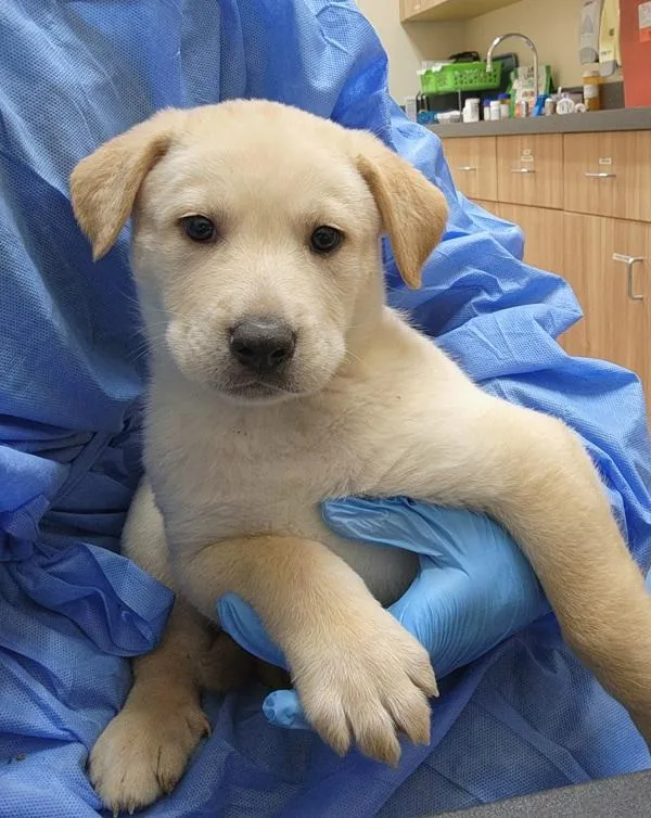 Spongebob Squarepants thumbnail 2