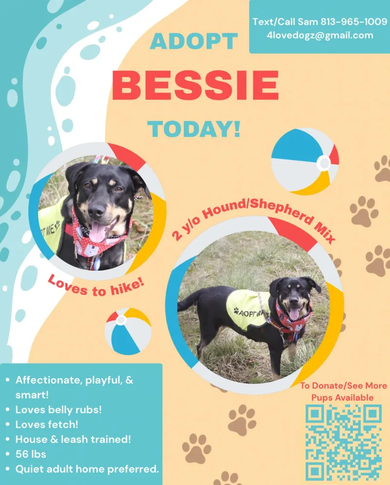 Bessie thumbnail 4