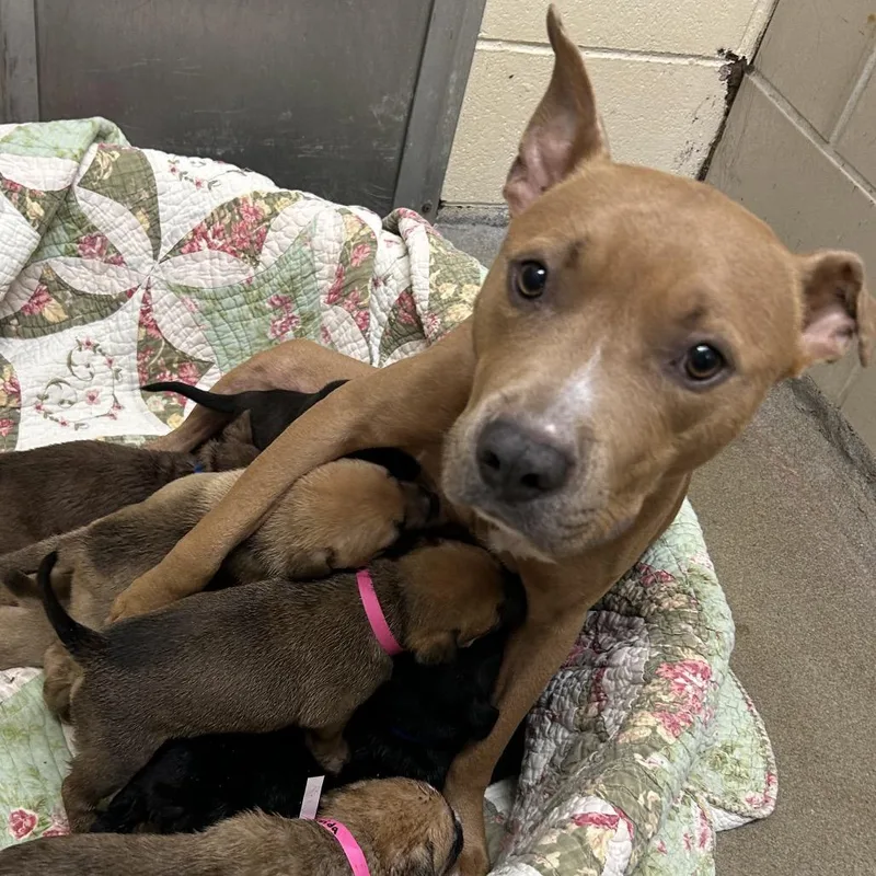 Princess thumbnail 2