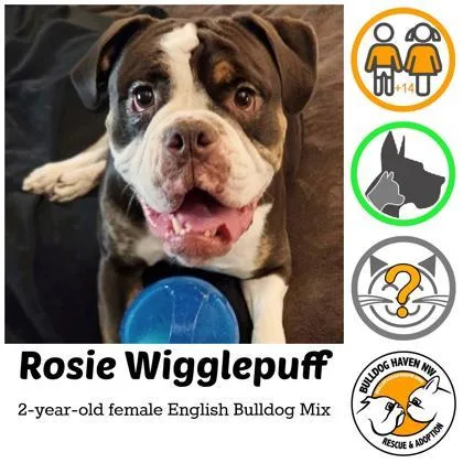 Rosie Wigglepuff
