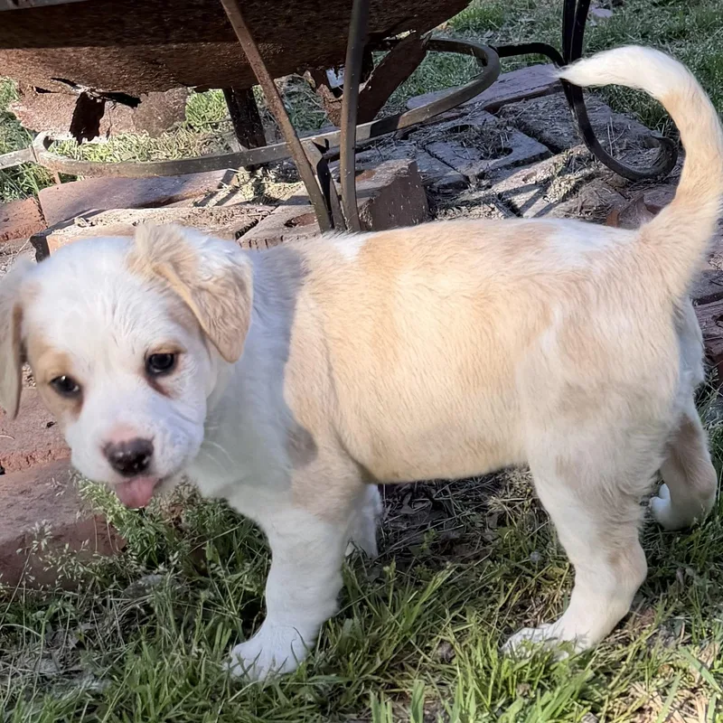 Gretchen thumbnail 2