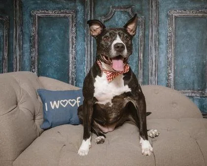 Sunshine thumbnail 2