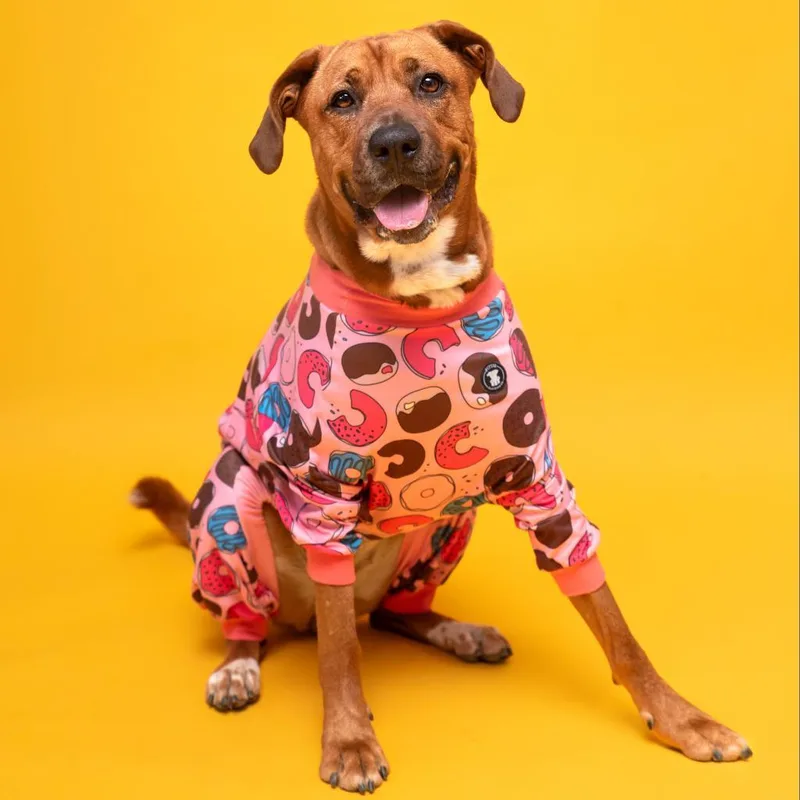 Ginger Spice thumbnail 6