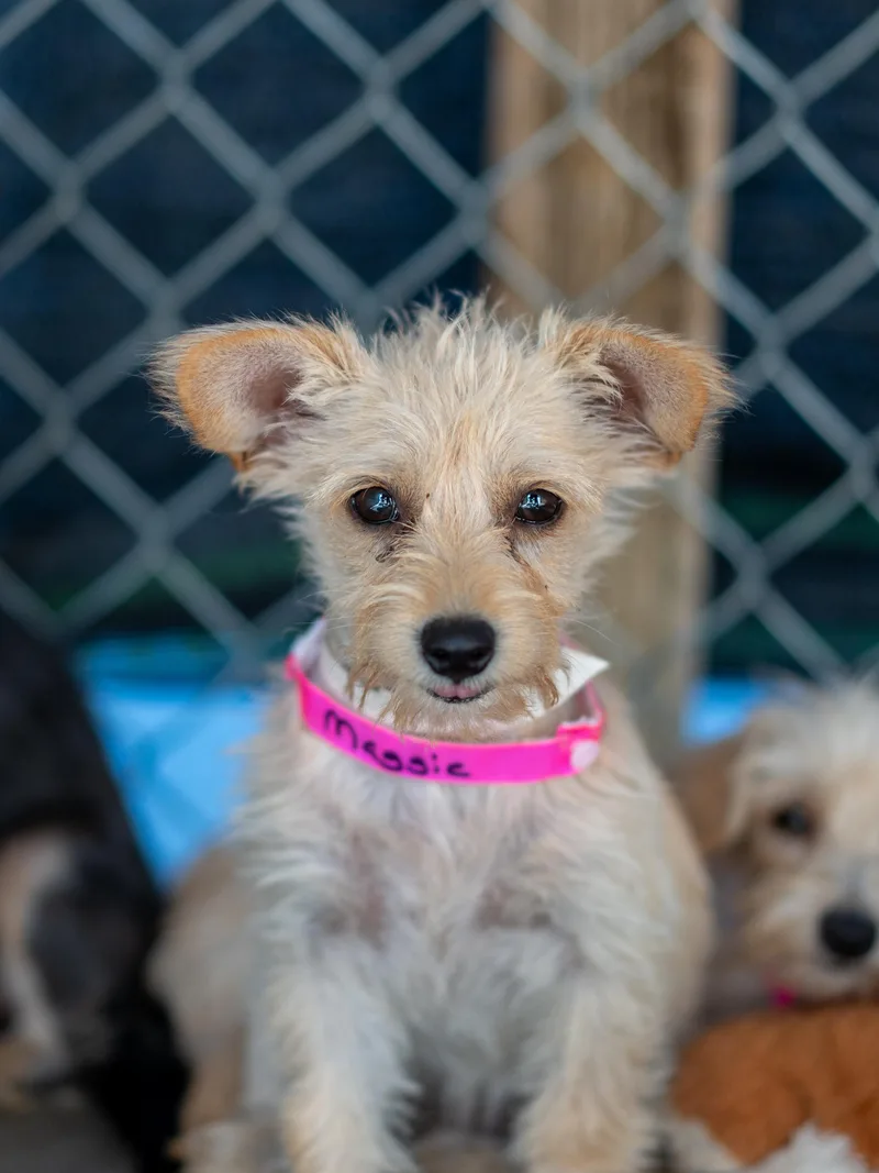 Baby Maggie May thumbnail 2