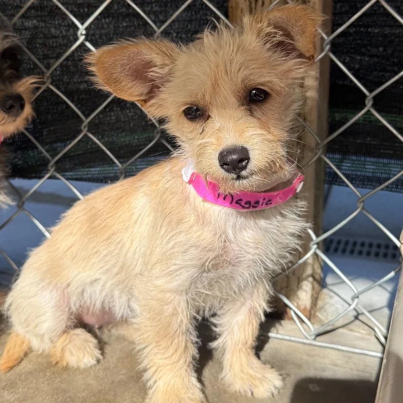Baby Maggie May thumbnail 5