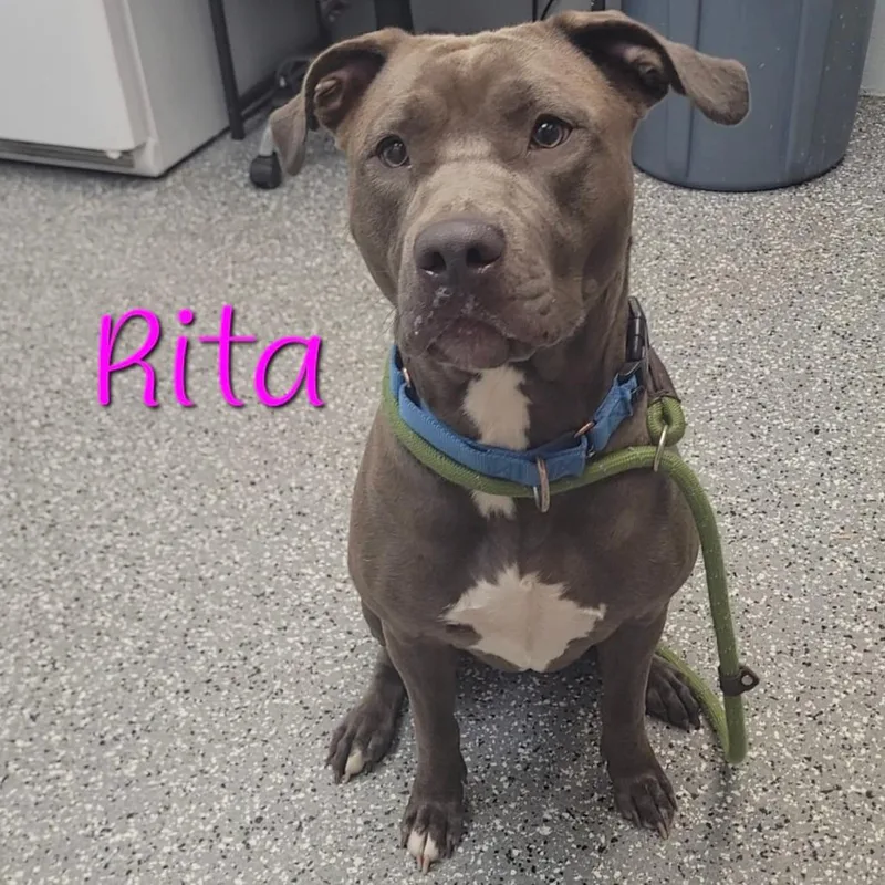 Rita thumbnail 4