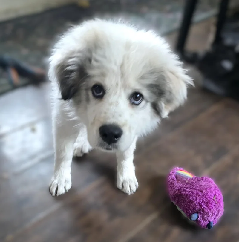 Wyoming Sat thumbnail 2