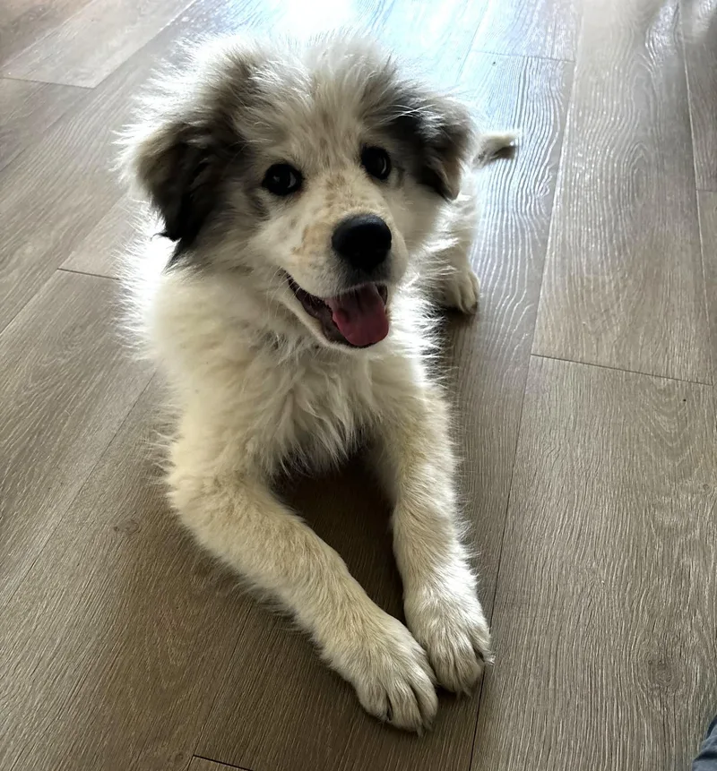 Wyoming Sat thumbnail 3