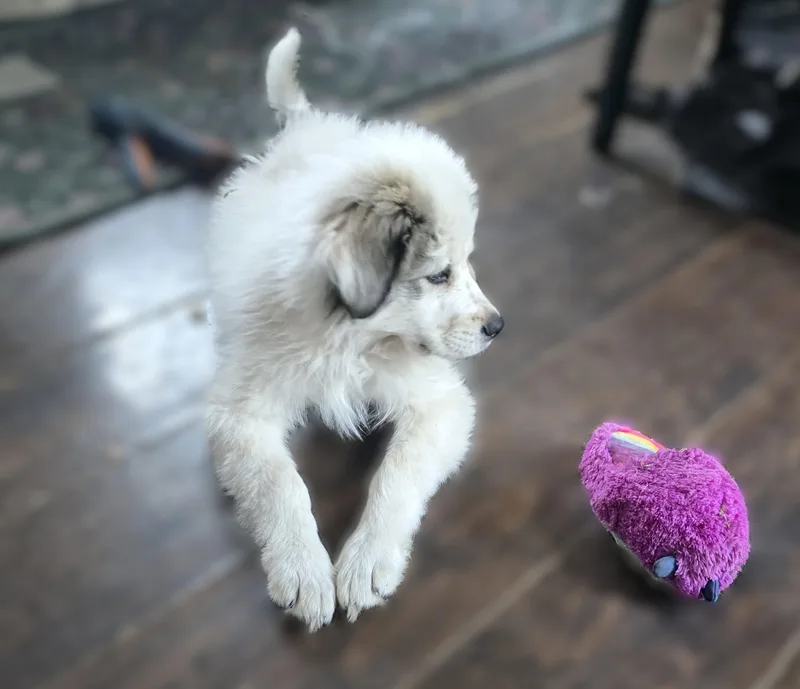 Wyoming Sat thumbnail 4