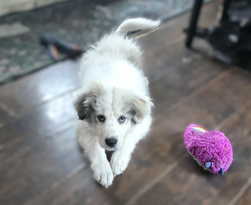 Wyoming Sat thumbnail 5