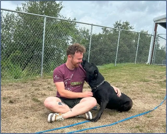An adult large-sized female Black Labrador Retriever dog named Sicily for adoption in Dripping Springs, TX