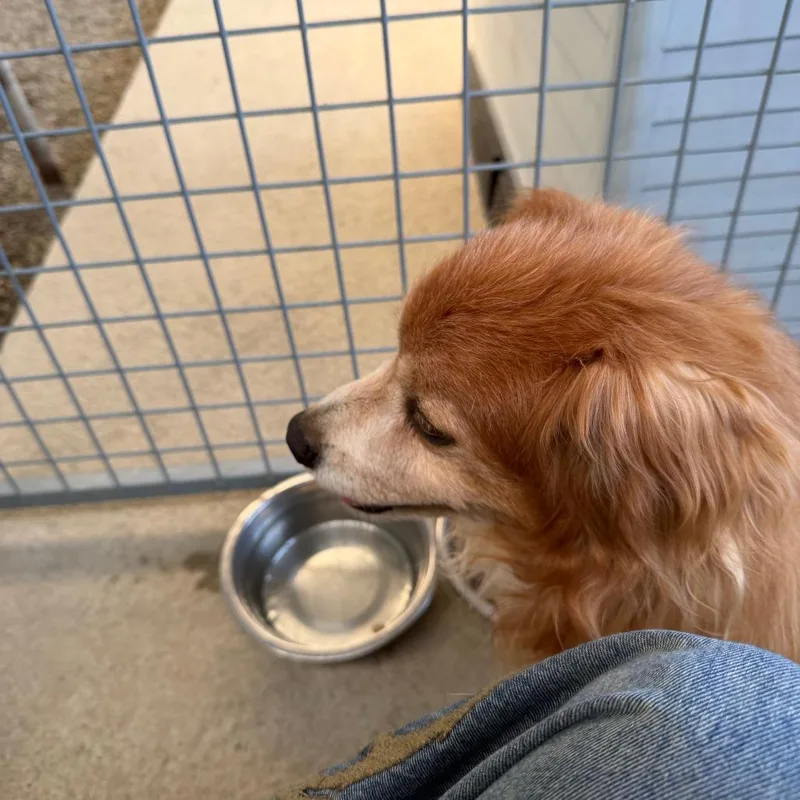 Carhartt thumbnail 2