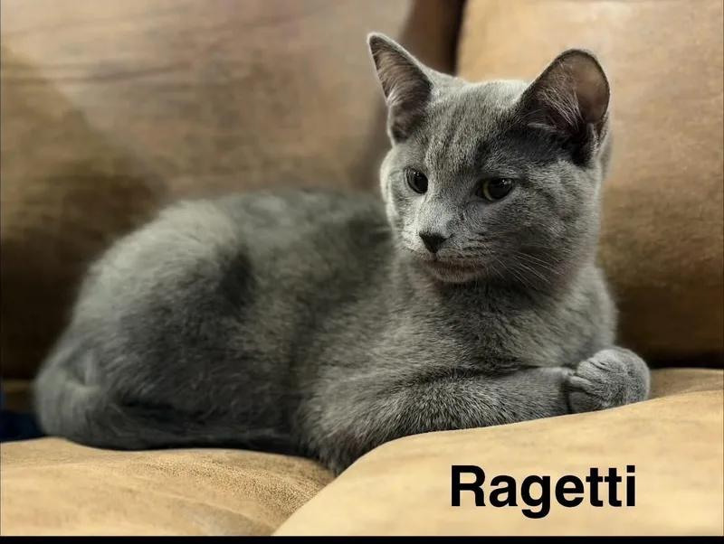 Ragetti thumbnail 2