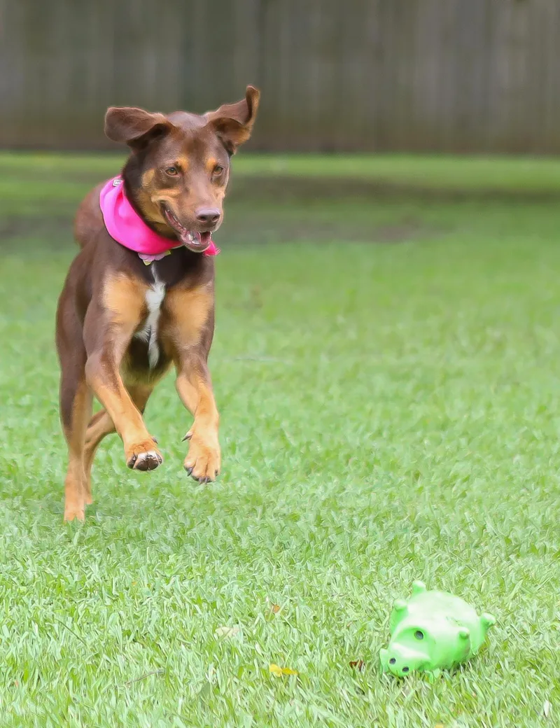 Bailee thumbnail 6