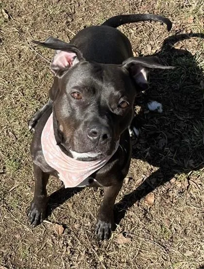 Charlotte thumbnail 5